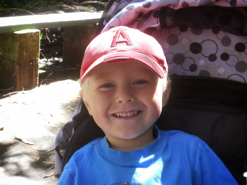 Lamington National Park- a return to O’Reilly’s Rainforest Retreat